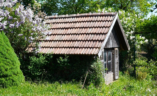 starý dom